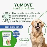YuMOVE Arthrose Chien Senior 8+ Ans - 120 Comprimés - 170mg par Comprimé Brevet en Instance ActivEase Moule Verte Chien - Glucosamine Chondroïtine Chien pour Mobilité - Complément Articulation Senior - 2