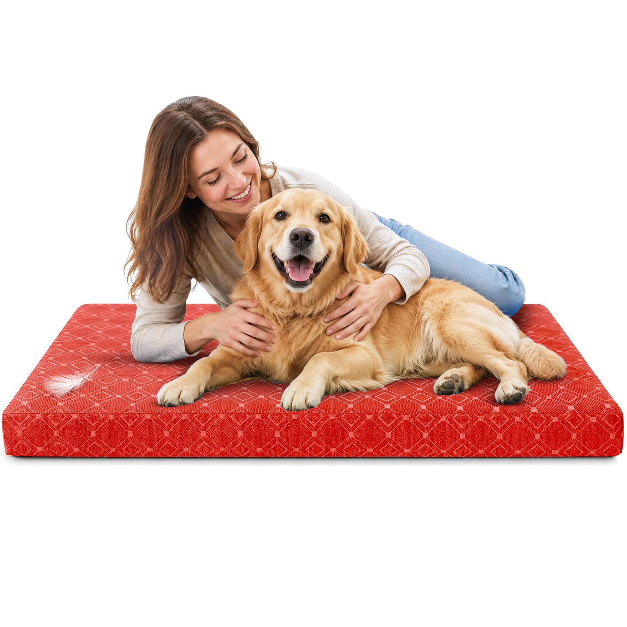 SAPPHIRE Dog Crate Mat, High Density Foam Dog Bed with Removable Zip Cover, Water Resistant Polyester Dog Cage Cushion, Kennel Mat for Small, Medium, Large & XL Dogs (Red, XL)