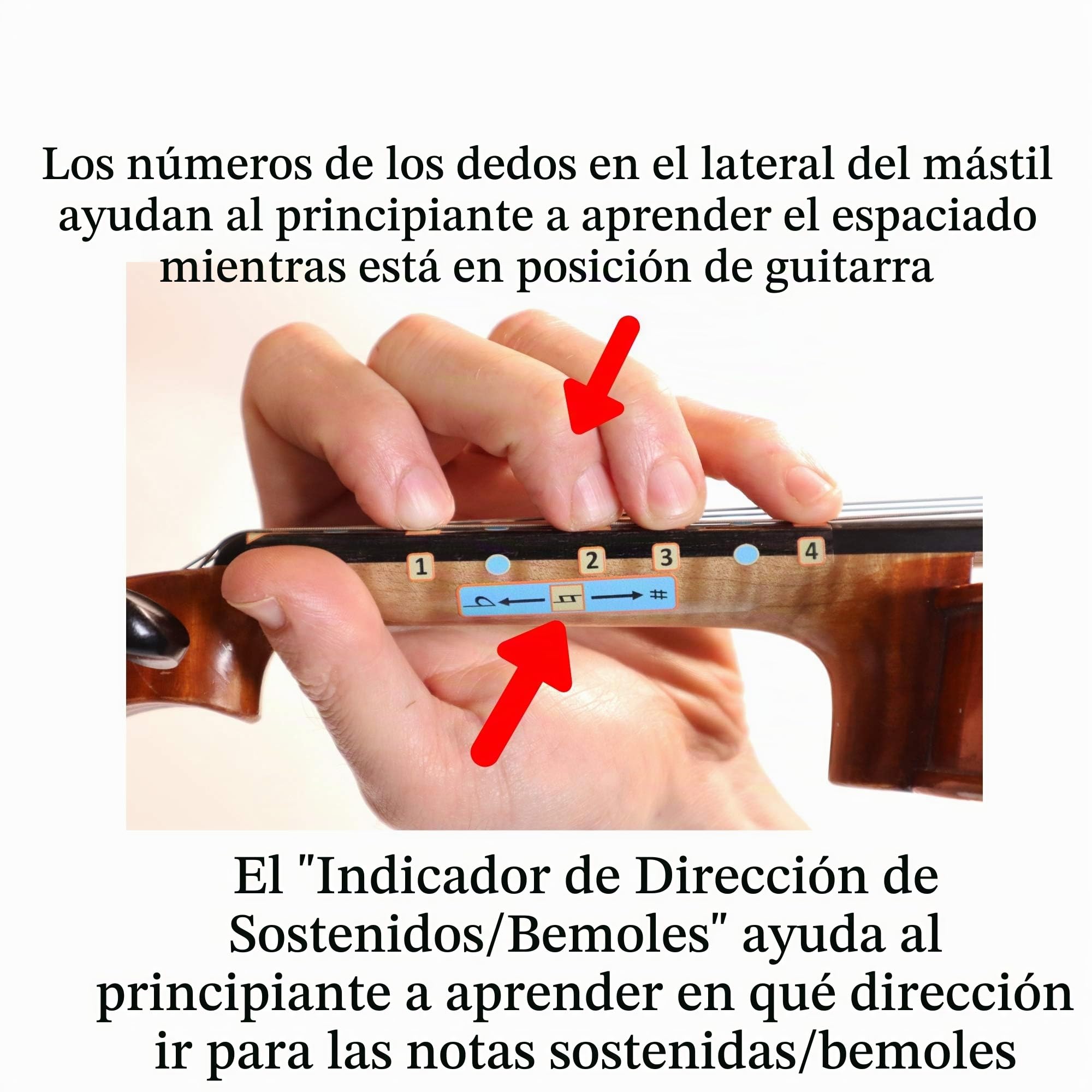 Fantástica guía de dedo para violines | Instrumentos musicales de cuerda | Pegatinas de toque y toque para aprender todas las notas | Guía de dedo para violín para niños/adultos | Juego