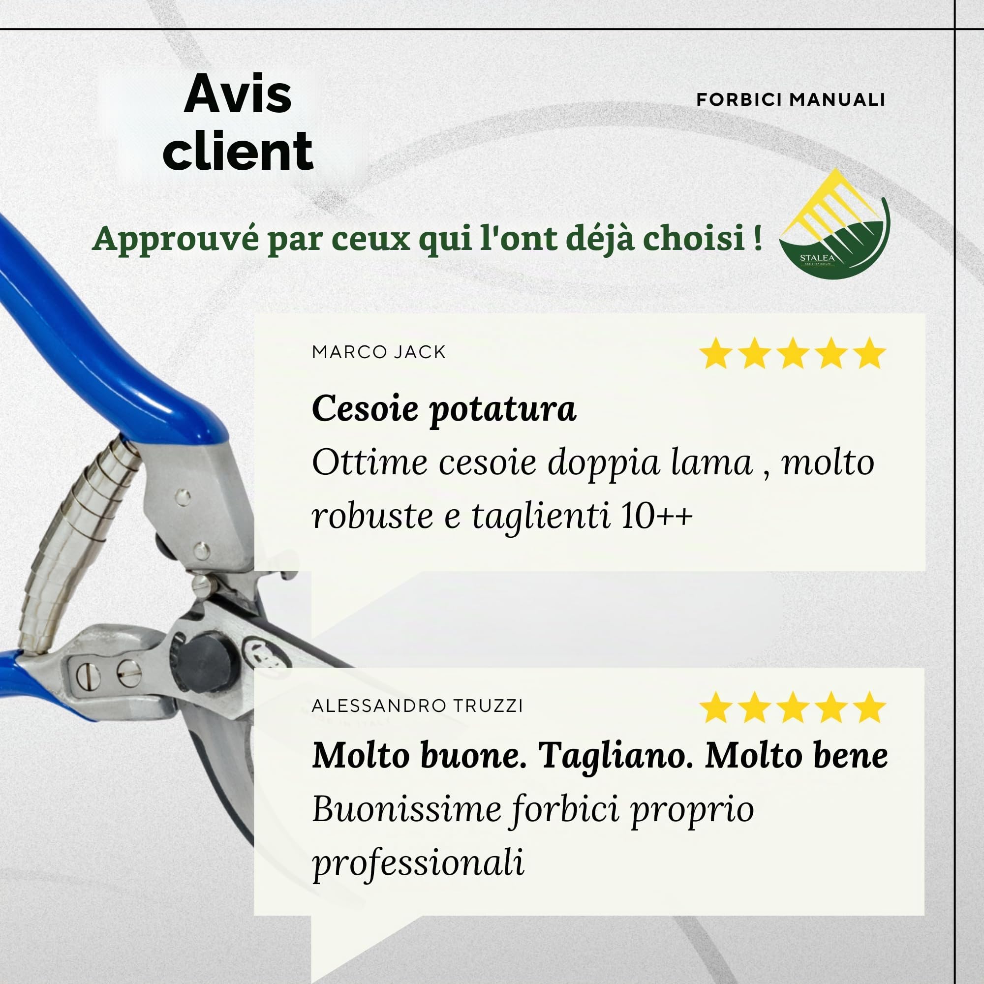 PATERLINI Ciseaux de Sécateur de Jardin - Ciseaux d’élagage tranchants - Cisailles de jardinage faciles à élaguer - Outils de jardinage professionnels - Ciseaux d’élagage (Master BIG)