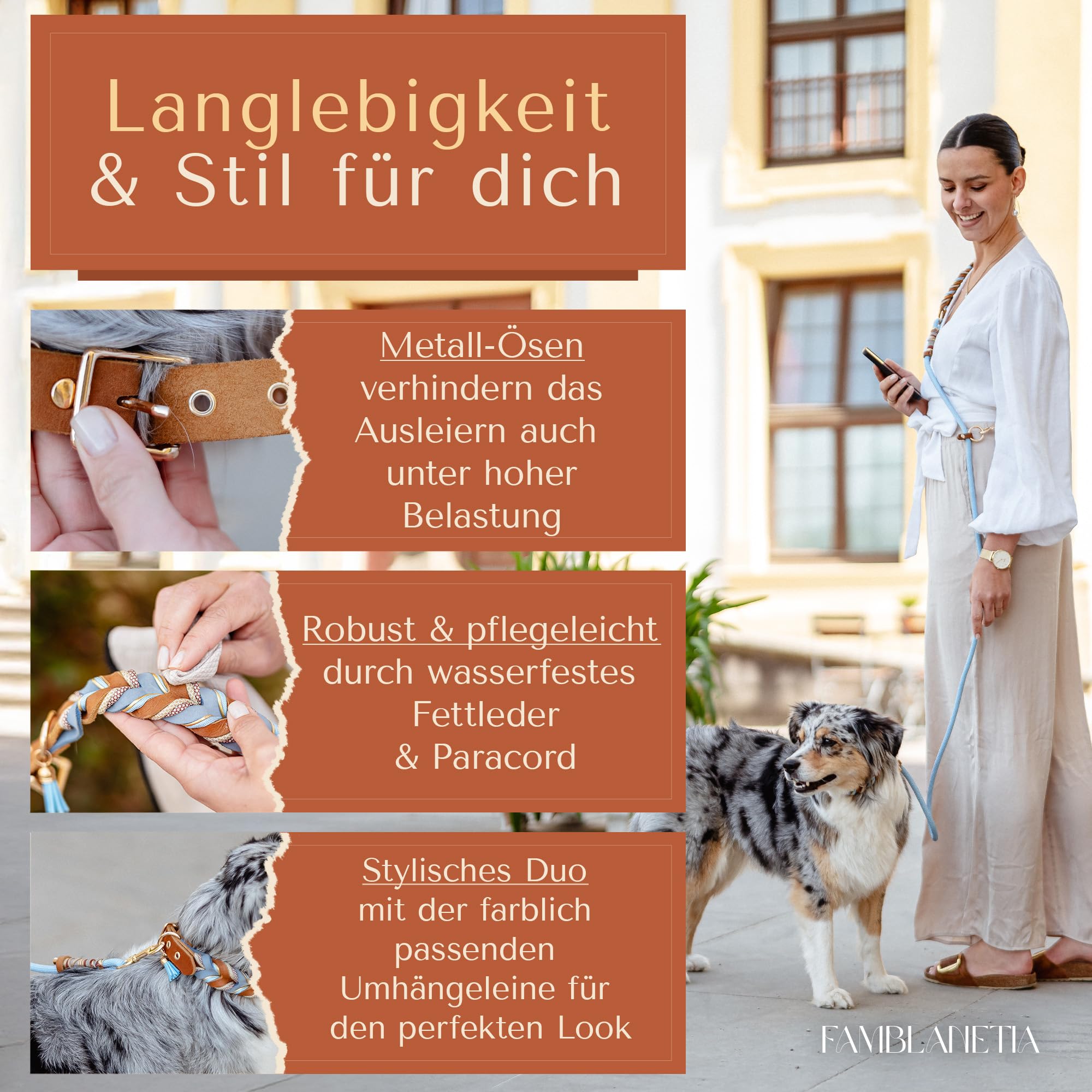 Hundehalsband (S) Leder & Paracord geflochten | Große, mittlere & kleine Hunde | 2cm breit | außergewöhnlich, ausgefallen | blau braun Gold | weiches Fettleder | Tau handgemacht