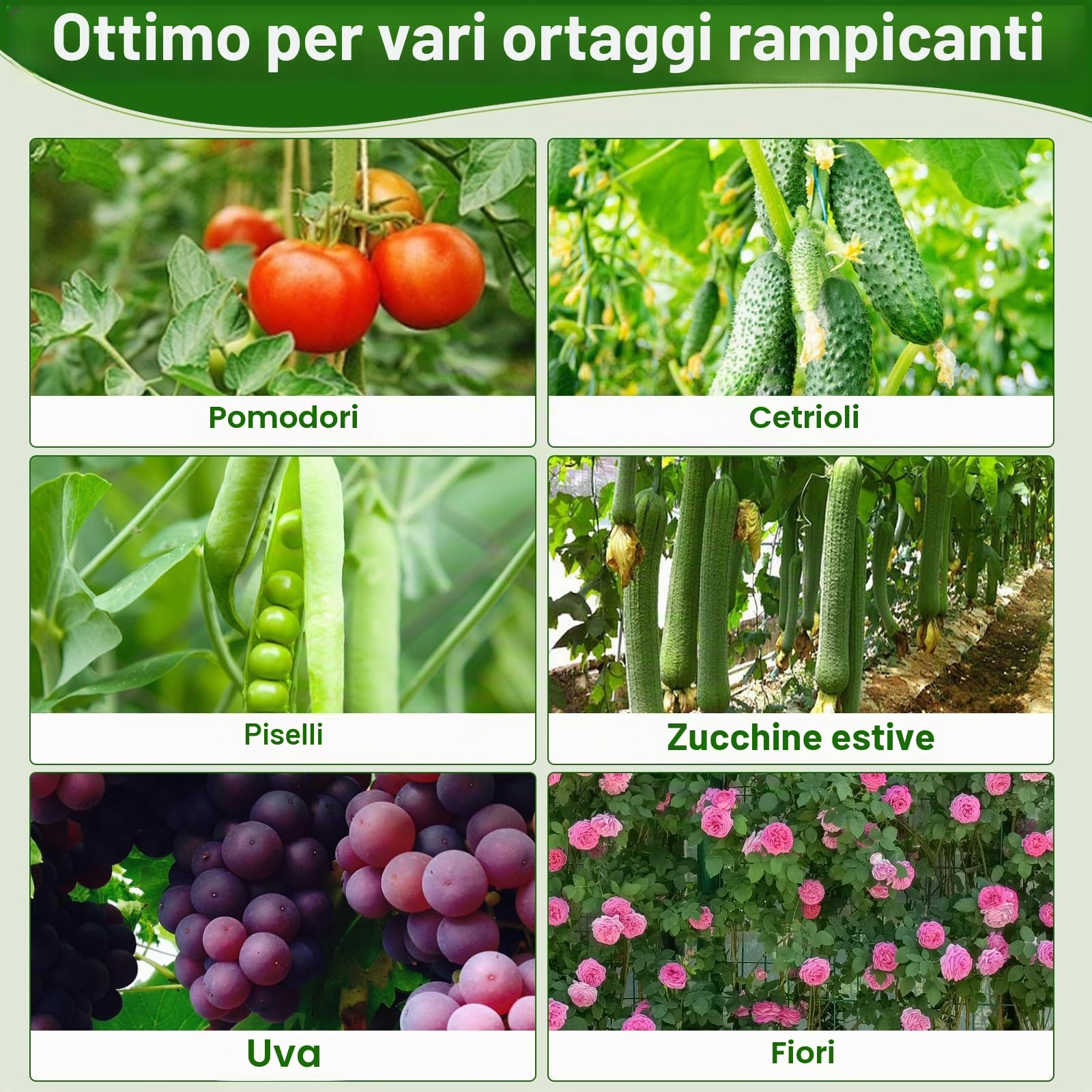 Rete per cetrioli da giardino per piante rampicanti all'aperto, grande griglia da giardino in metallo con borsa per la crescita, rete da giardino in nylon per aiuola rialzata, verdure, zucca, zucchine