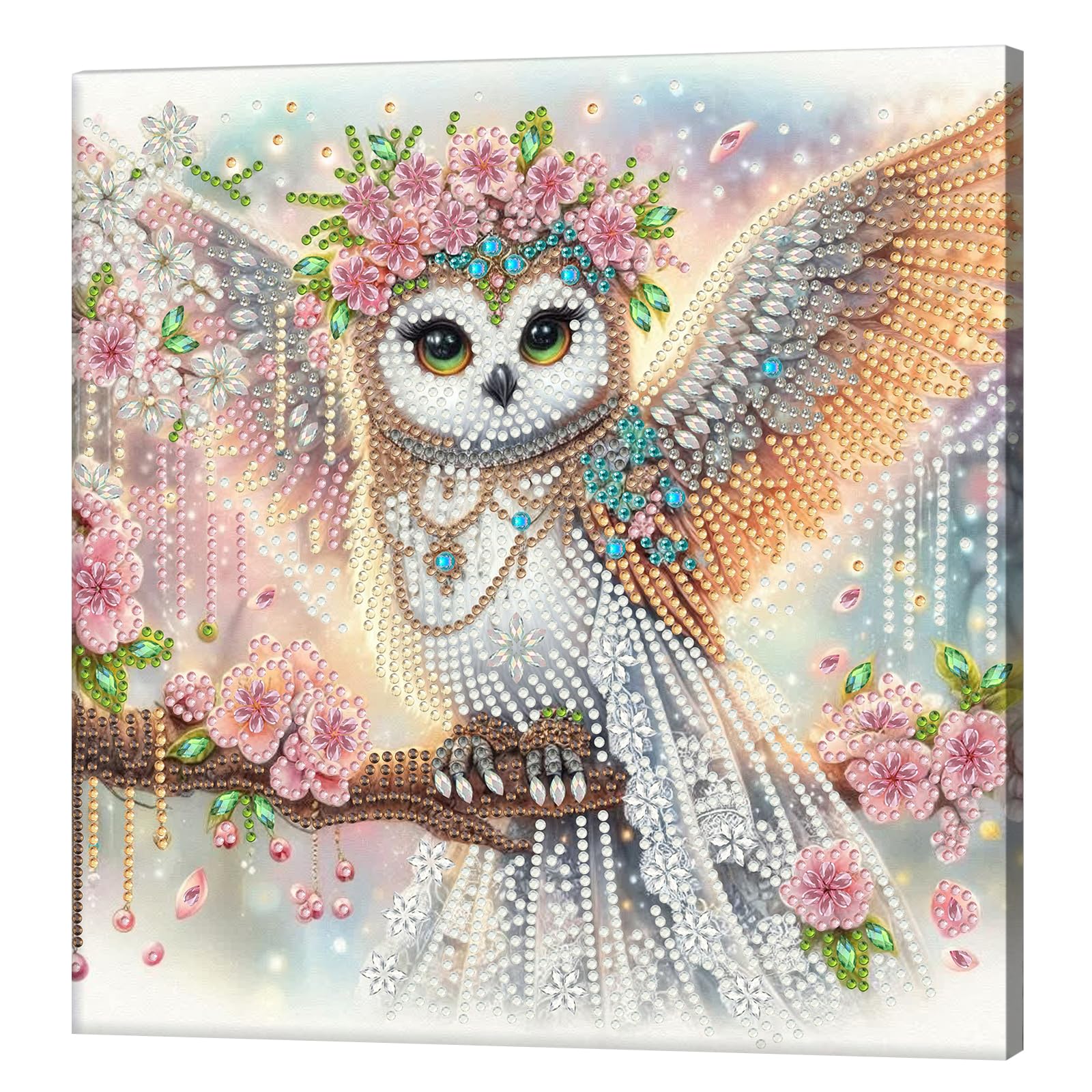 Kexpery 5D Diamond Painting Kits Partial Frame 25x25cm for Beginners Gems