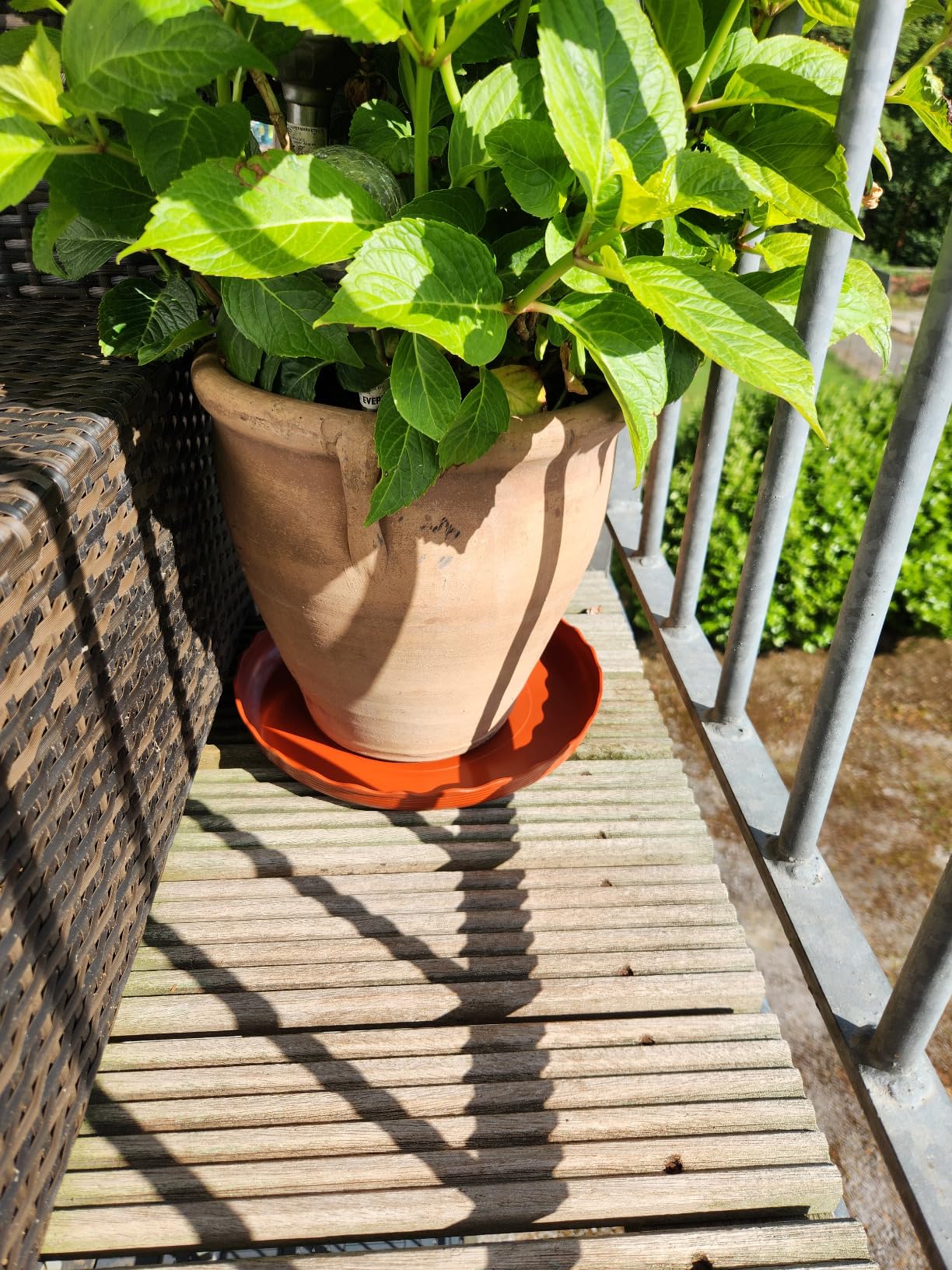 Chuboir 5 Pack Plant Pot Saucers 30cm, Durable Thicker Plastic Plant