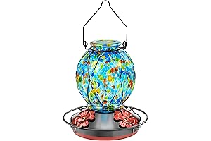 Hummingbird Feeder for Outdoors with Vibrant Colors