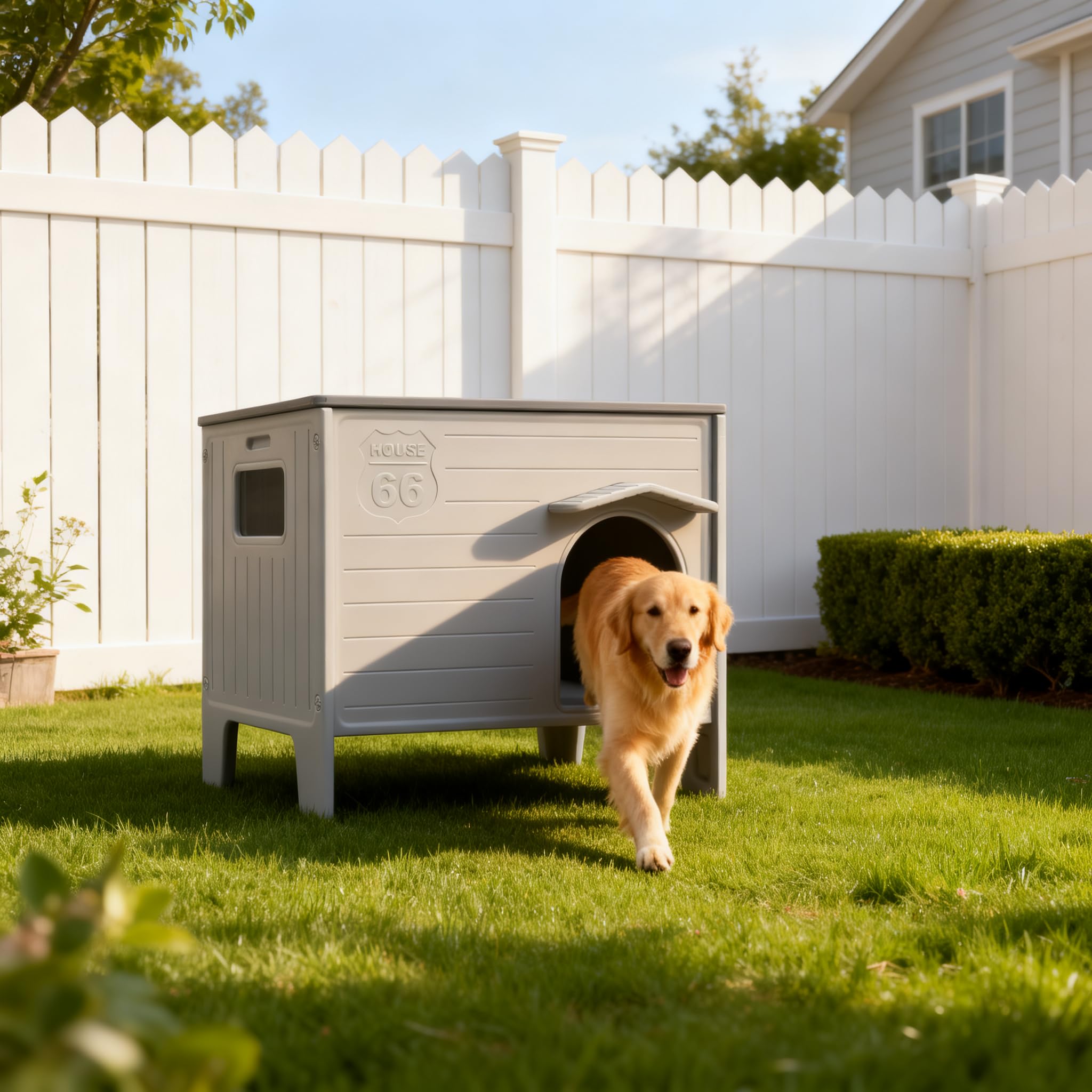 Dog Kennel Outdoor Indoor, Plastic Elevated Waterproof Dog House
