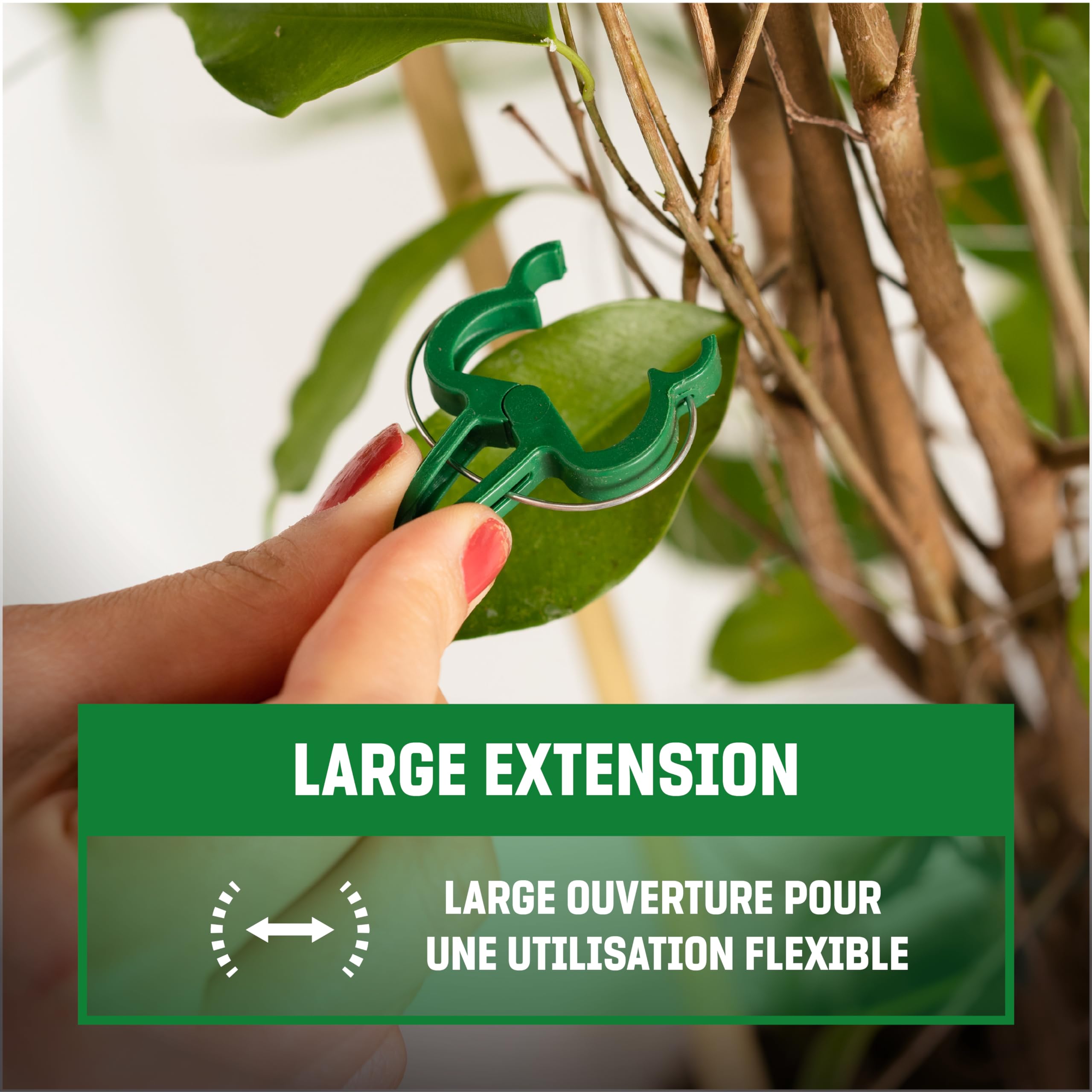 30 Clips De Jardin Pour Plantes Grimpantes – Attaches Tomates, Roses, Acier, Ressort Stable