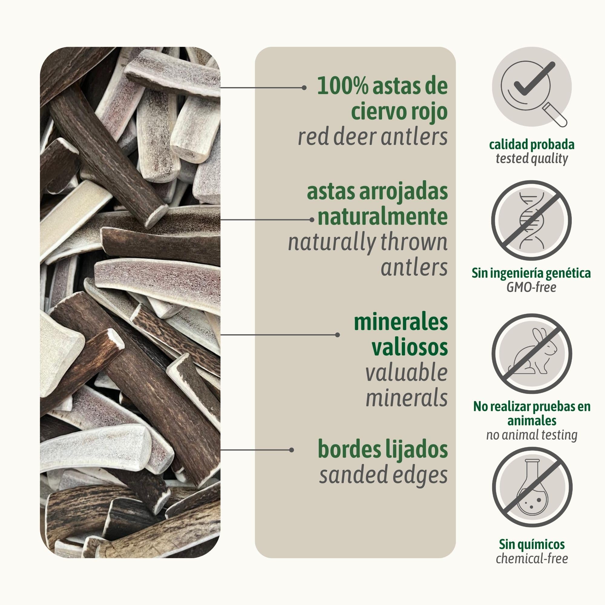 ChronoBalance-XXL Asta de Ciervo para Perros Partido por la Mitad, 100% Natural, Snack para el Cuidado Dental, Juguete para Perros, Huesos sin químicos, Conjunto de 2