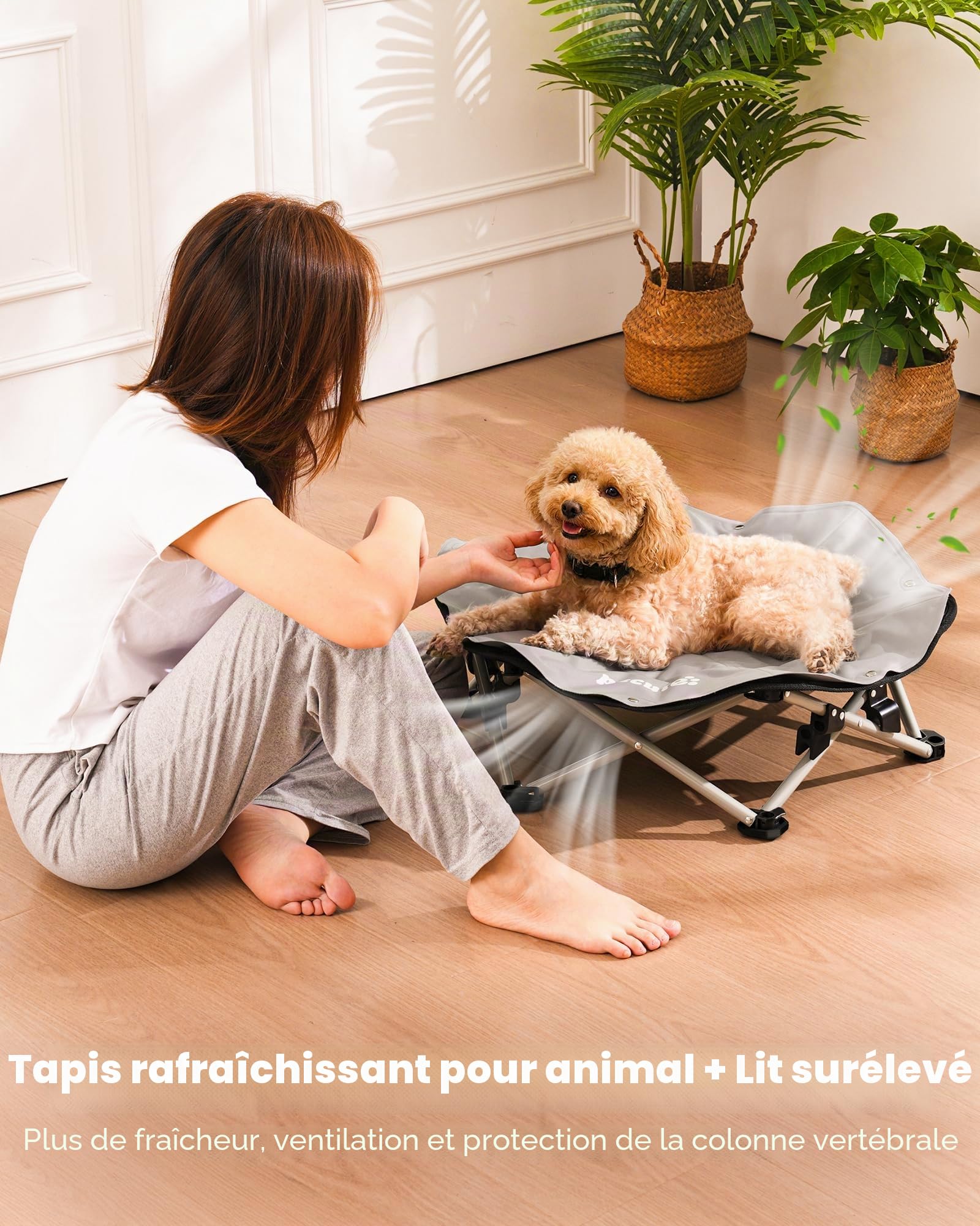 Pecute Tapis Rafraichissant Chien avec Lit Chien Sureleve Rafraîchissant, Panier Chien Pliable Portable, Respirant Antidérapant, Jusqu'à 60 kg, Intérieur Extérieur, Taille M 66x60x15cm