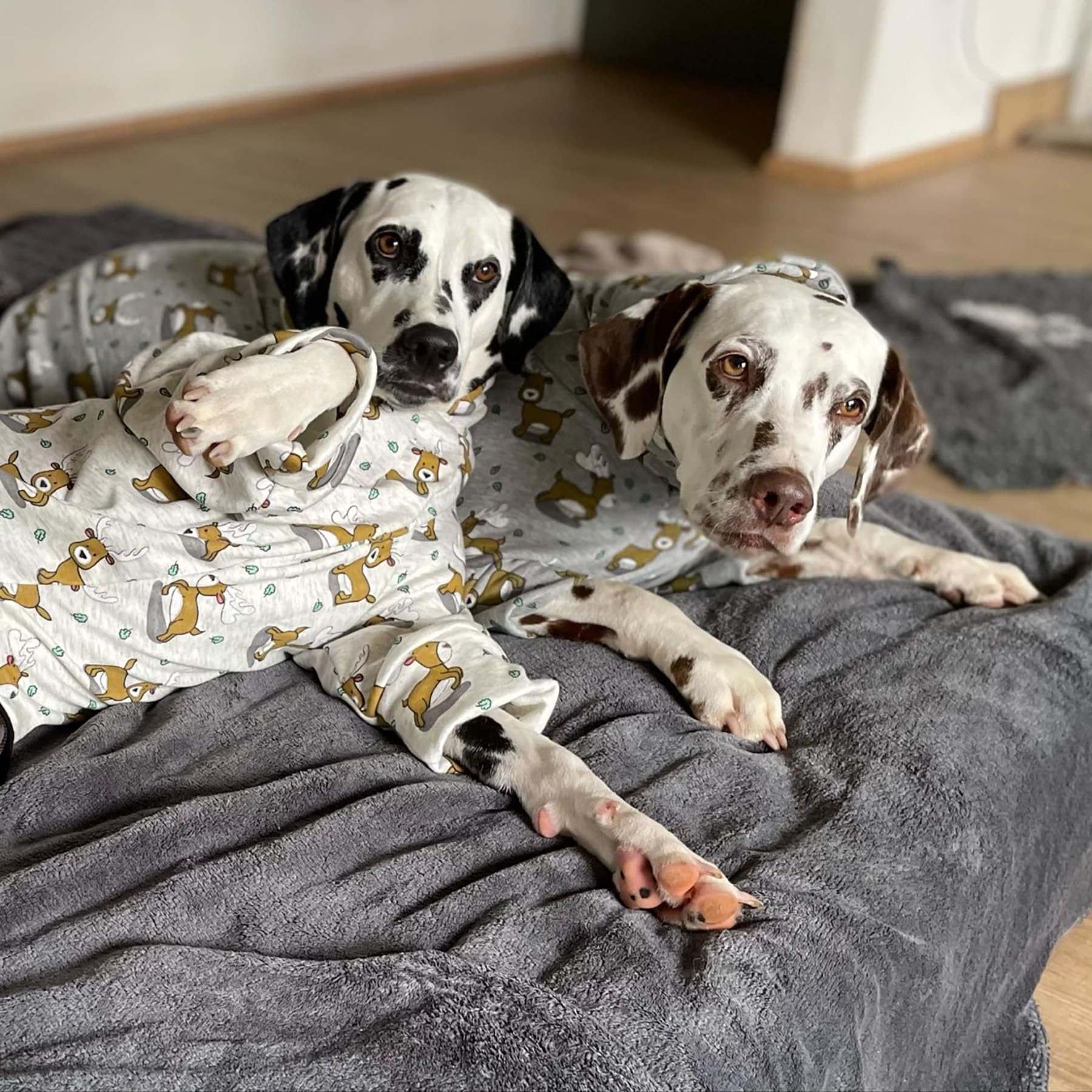 EDEL&SCHNELL Pull pour chien gris en coton douillet avec motif de cerf - Pyjama pour chien avec fermeture éclair - Body pour lévrier - Taille 40-45