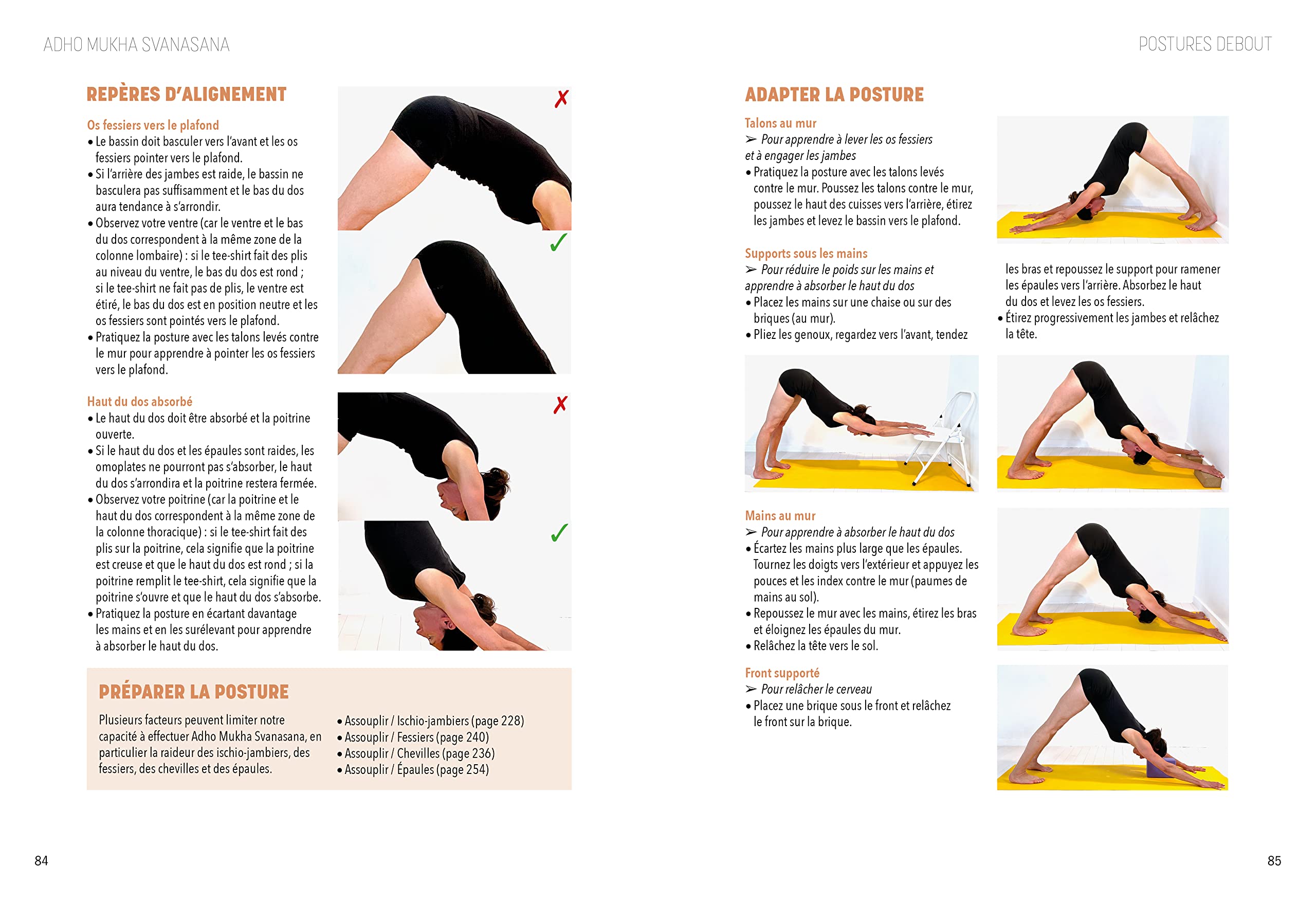 L'encyclopédie du Yoga postural
