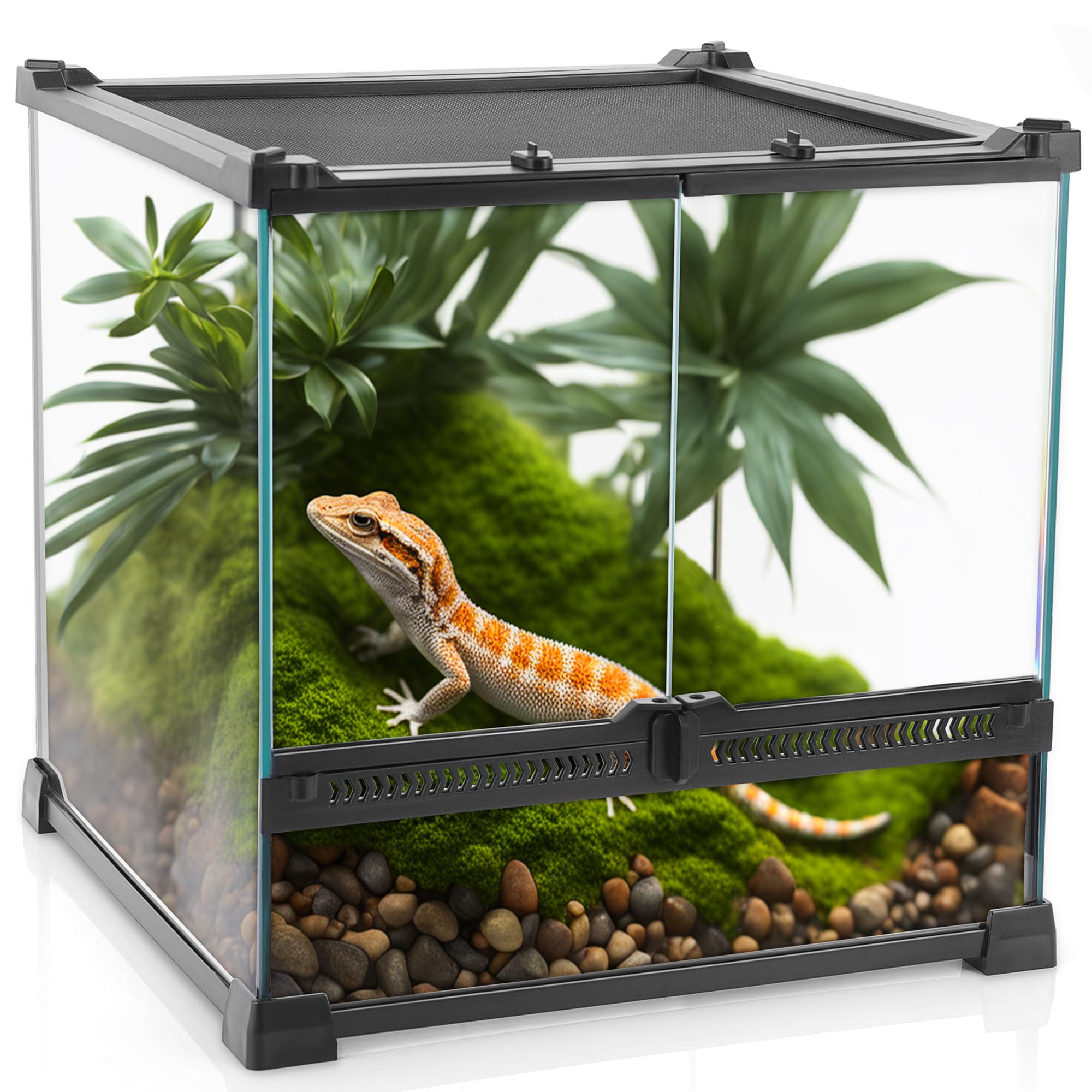 NEPTONION Mini Reptile Glass Terrarium 12"x8"x8" Durable Reptile Habitat Tank with Heat Resistant Aluminum Alloy Frame, Double Swinging Doors for no Jam by Sand and Other Debris — view 7