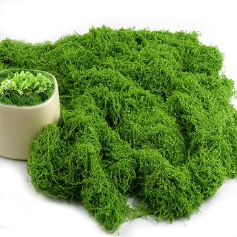 Hopton 150 g Artificial Moss for Decorating, Artificial Moss Decoration, Moss for Crafts | Kunstmoos zum Basteln,Kunst Moos,K