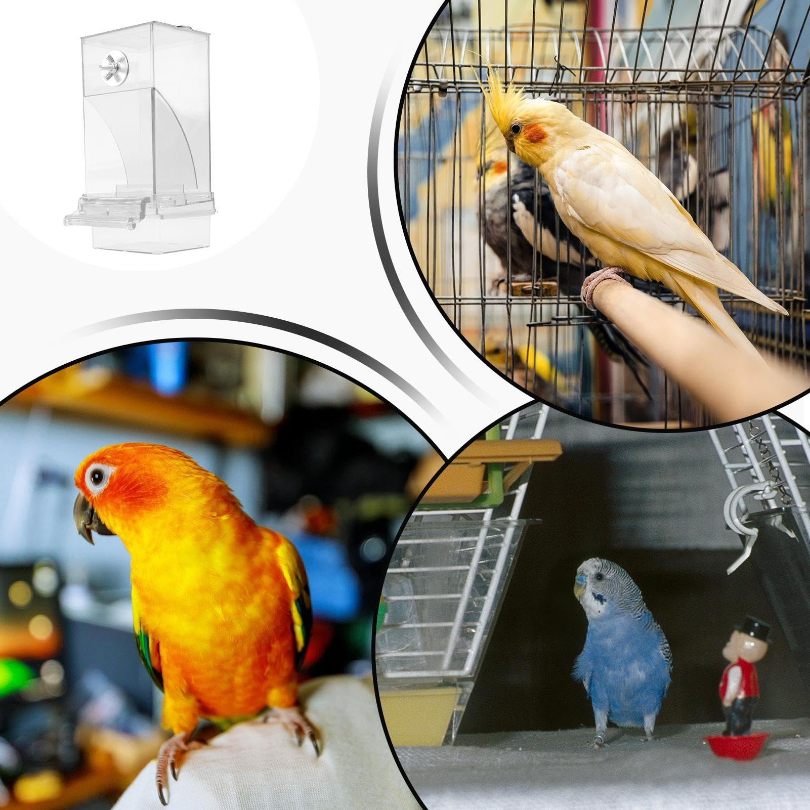 Automatischer Futterautomat Für Vögel - Acryl Futterspender Für Käfig
