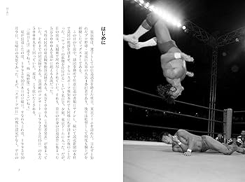 新日本プロレス VS UWFインター 10.9 パンフレット 10.9 プロレスのいちばん熱い日 新日本プロレスvsUWF