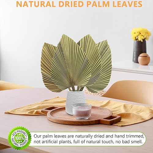 Miniatura 2 de 4 hojas de palma secas recortadas naturales grandes de 17 x 10 pulgadas, lanza de palma seca real para estética, decoración de boda bohemia,