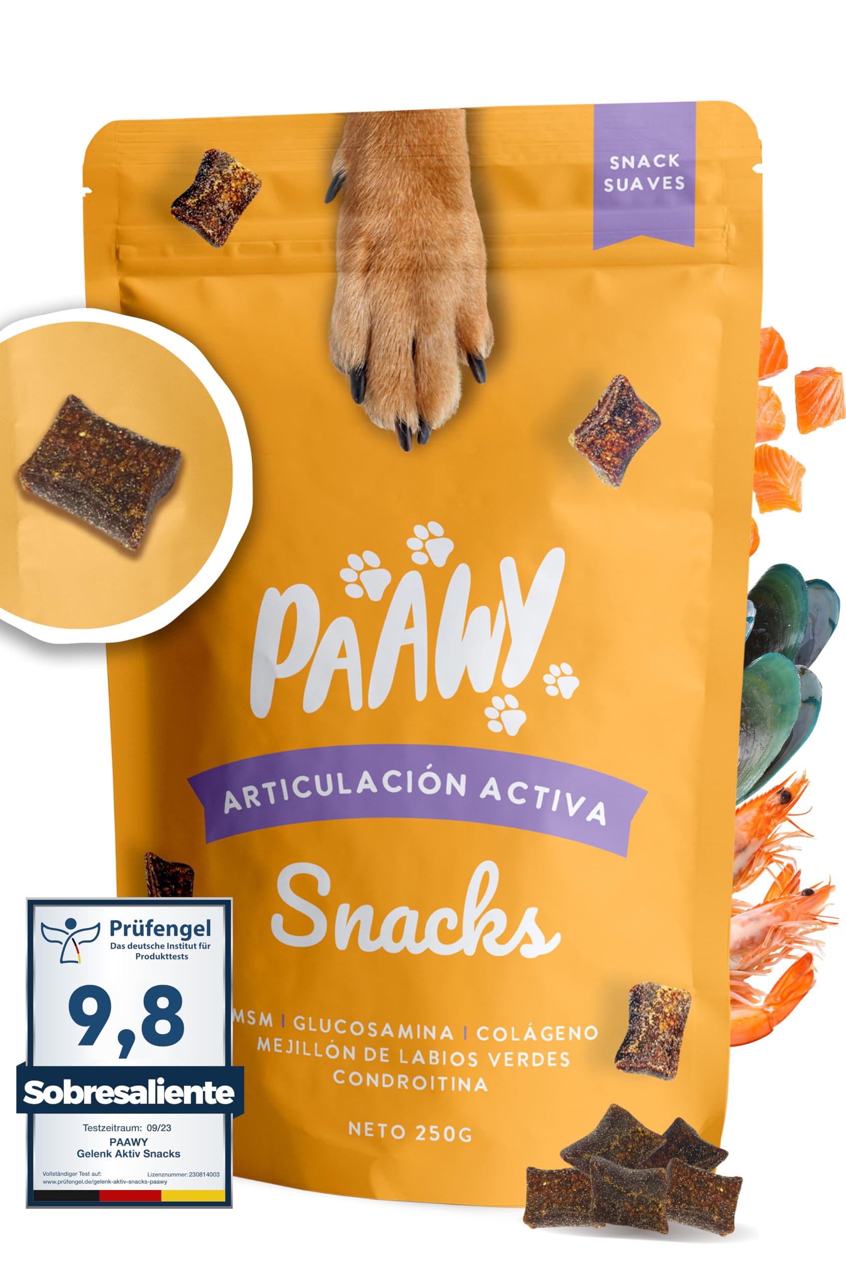 Paawy Condroprotector Perros con Glucosamina, Condroitina, MSM I para Las Articulaciones de Perros I Antiinflamatorio para Perros Artrosis I Joint Care for Dogs I 250g Salmón