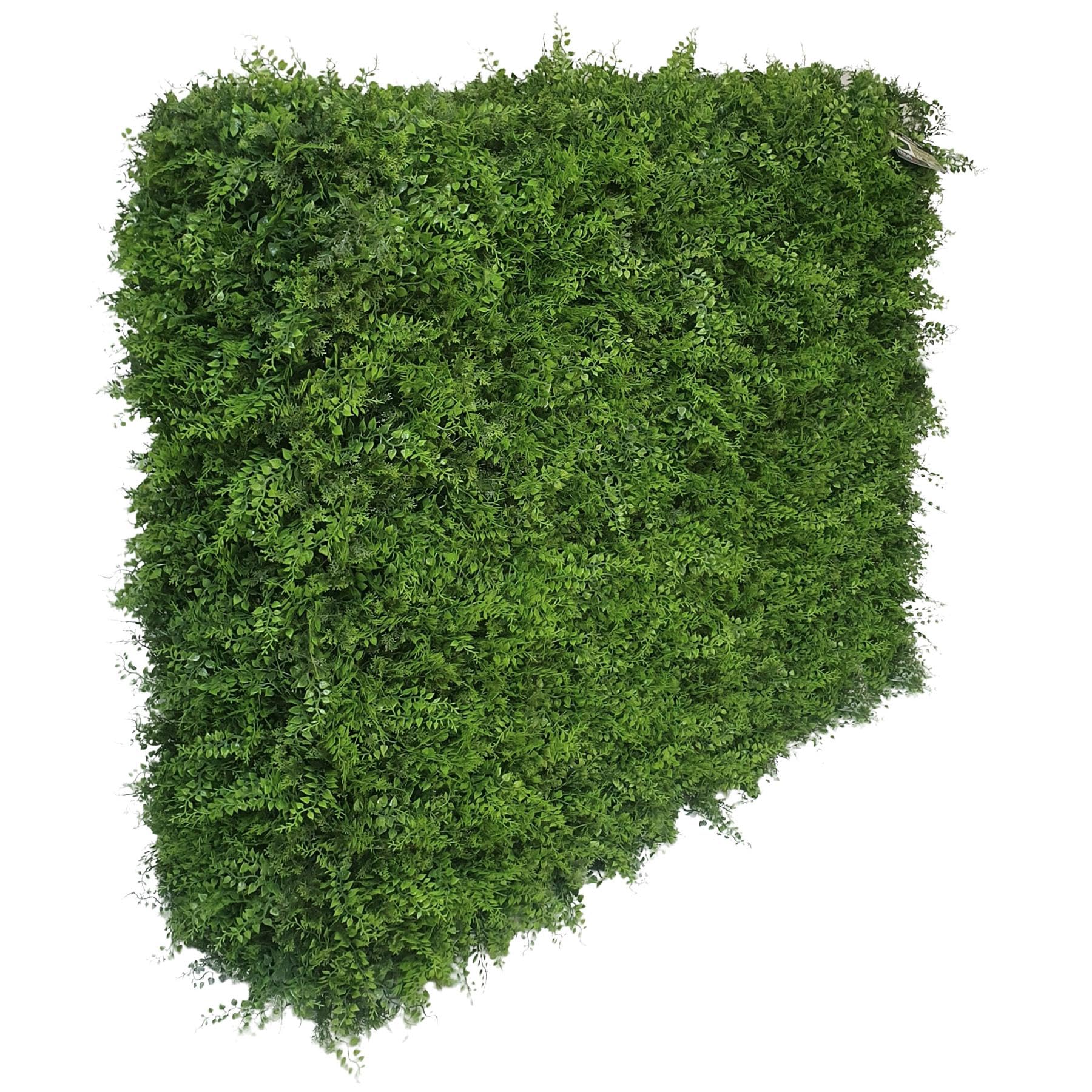 True Products Premium Freestanding Artificial Mixed Fern Hedge on a Metal Frame Indoor or Outdoor UV Stable 106 x 108 x 33cm - Medium