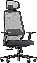 ProtoArc EC200 Ergonomic Home Office Chair, Swivel Desk Chair with Adjustable 3D Headrest and Lumbar Support, Sliding Seat for 8+ Hours of Comfort, Black