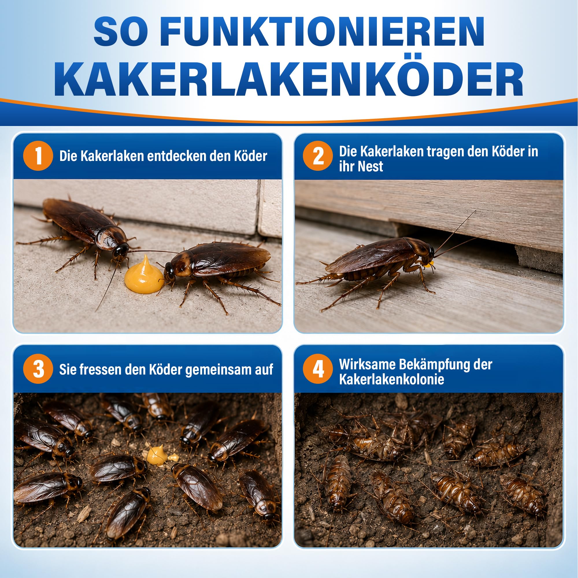 6 Stück Kakerlake Abwehrmittel, 6 * 30G Kakerlakenschutzmittel, Langanhaltender Kakerlakenabwehr für Innen und Außen, für Küche, Bad, Garage und Keller
