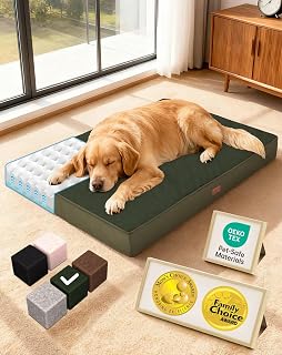 OhGeni Orthopedic Waterproof Large Dog Bed, Memory Foam, 41 inch(Green) | Machine-Washable Removable Cover in Easy-Clean Fabric, Reversible Memory Foam & Easy-Carry Handle, Suitable for Crate