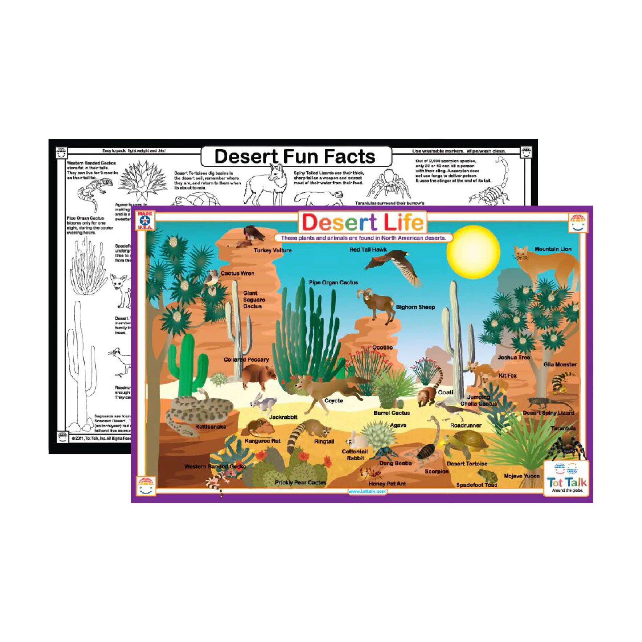 Tot Talk Desert Life Educational Placemat for Kids – Made in USA – Durable, Double-Sided, Desert Learning Placemat with Animal Facts, Survival Tips &