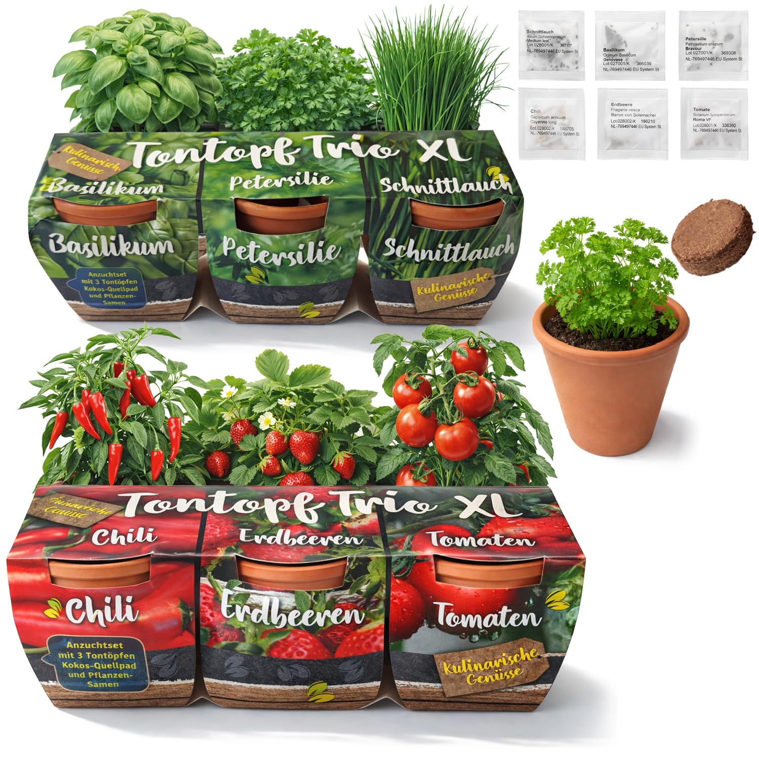 Kit de culture 12 pots en terre cuite avec graines de chili et herbes