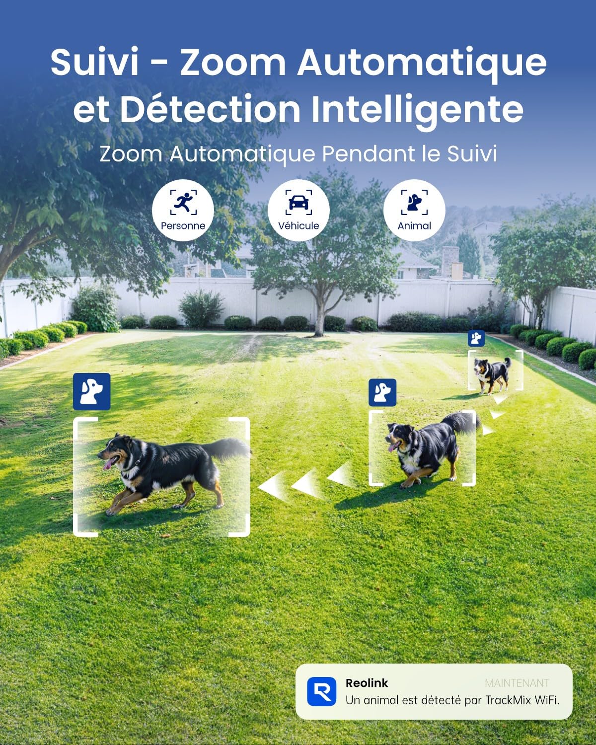 Reolink 4K PTZ Camera Surveillance WiFi Exterieure à Double Objectif, 2,4/5 GHz Wi-FI 6, Zoom 6X, Détection Personne/Véhicule/Animal, Suivi Auto, Vision Nocturne, Alimentation Plug-in, TrackMix WiFi