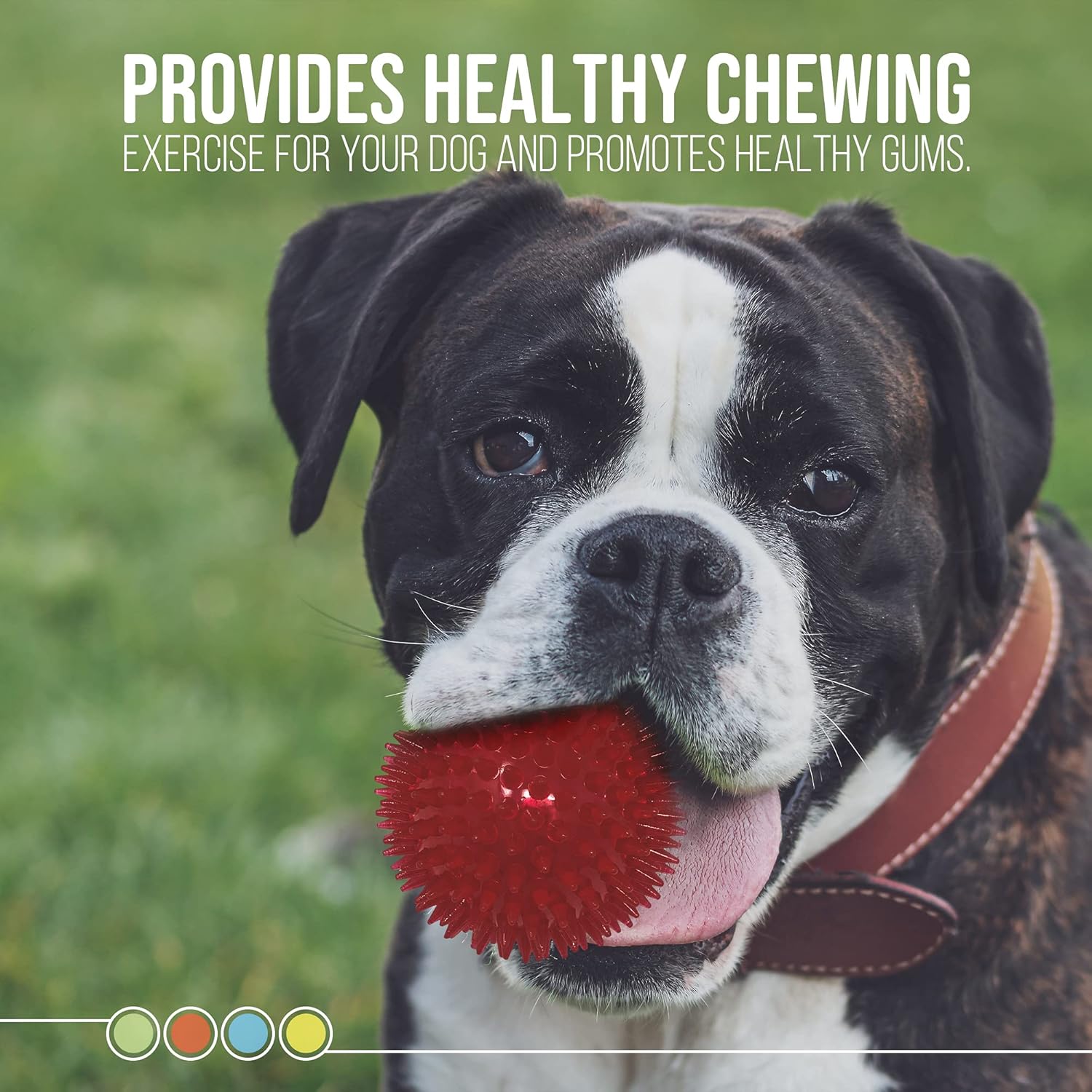 Pet Supplies : Dipperdap 4-Pack Squeaky Dog Toys 3.5” Spikey Dog Balls | Cleans Teeth for Healthier Gums |Non-Toxic BPA-Free Dog Toys for Aggressive Chewers |Spikey Balls in Red, Blue, Yellow, and Green : 