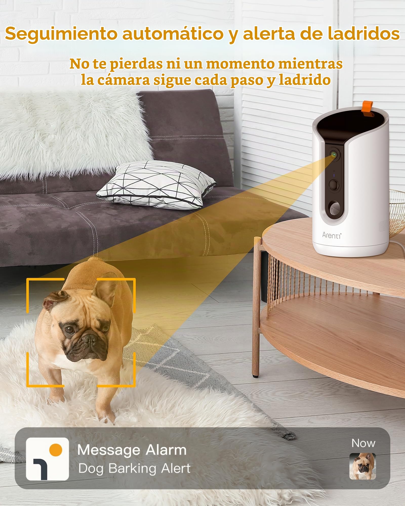ARENTI Comedero Automático para Mascotas con Cámara WiFi, Cámara de Vigilancia con Comedero, Camara para Perros/Gatos, Alarma Inteligente/Visión Nocturna, Compatible con Alexa