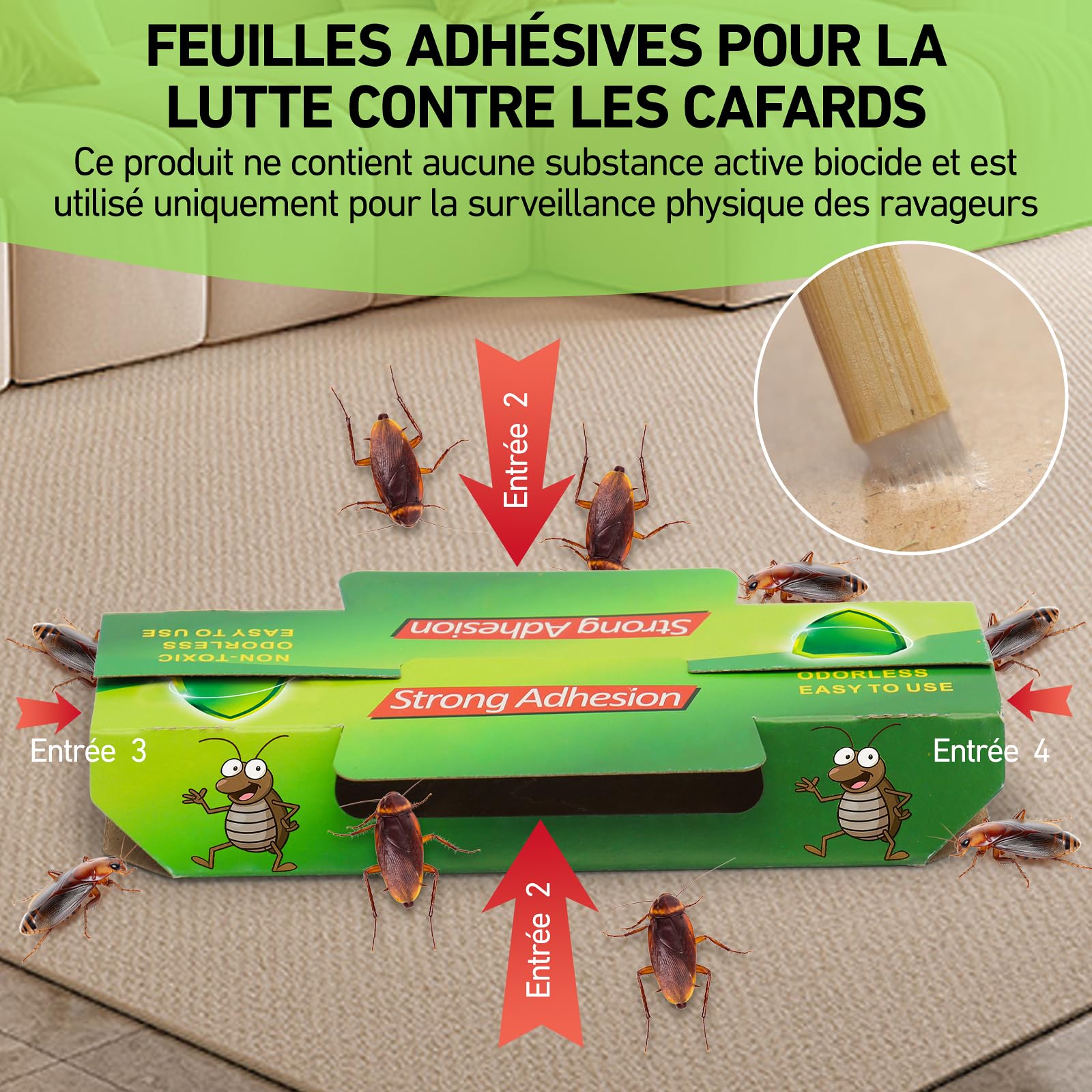 Panneau Adhésif Anti-Cafards 20 Pièces, Surveillance des Nuisibles pour Maison Jardin Cuisine
