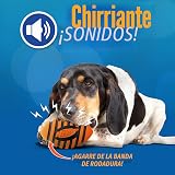 Ver la foto 2