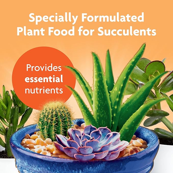 Miracle-Gro Succulent Plant Food - Fertilizante Líquido para Suculentas y Cactus - 8 fl. oz. (Paquete de 2) miniatura 3
