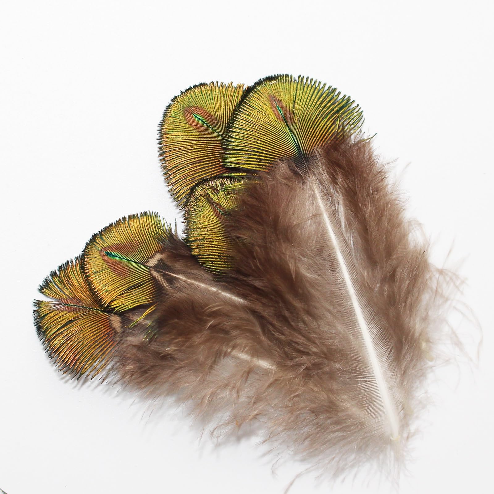 Tigofly Ensemble de plumes de paon pour nymphes mouches, mouches humides classiques