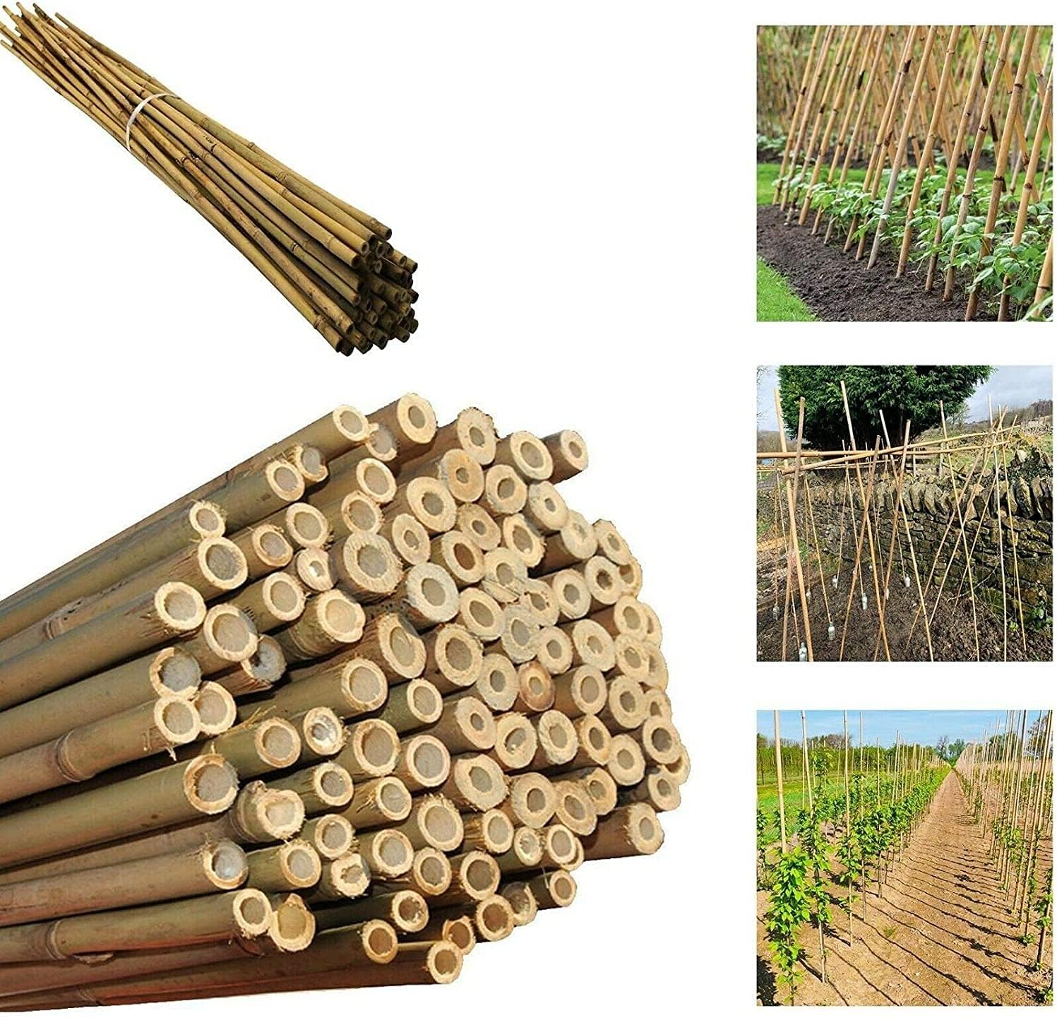 PLANT IT 3FT Bamboo Stakes, 25 PACK Beige, Strong Plant Support