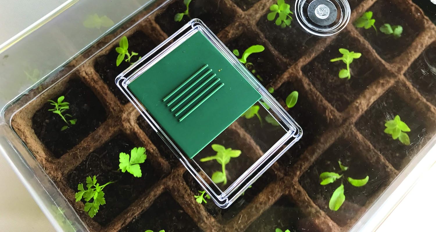 Biotop B2015B - Seed Germinator, Green, 38 x 24 x 18 cm