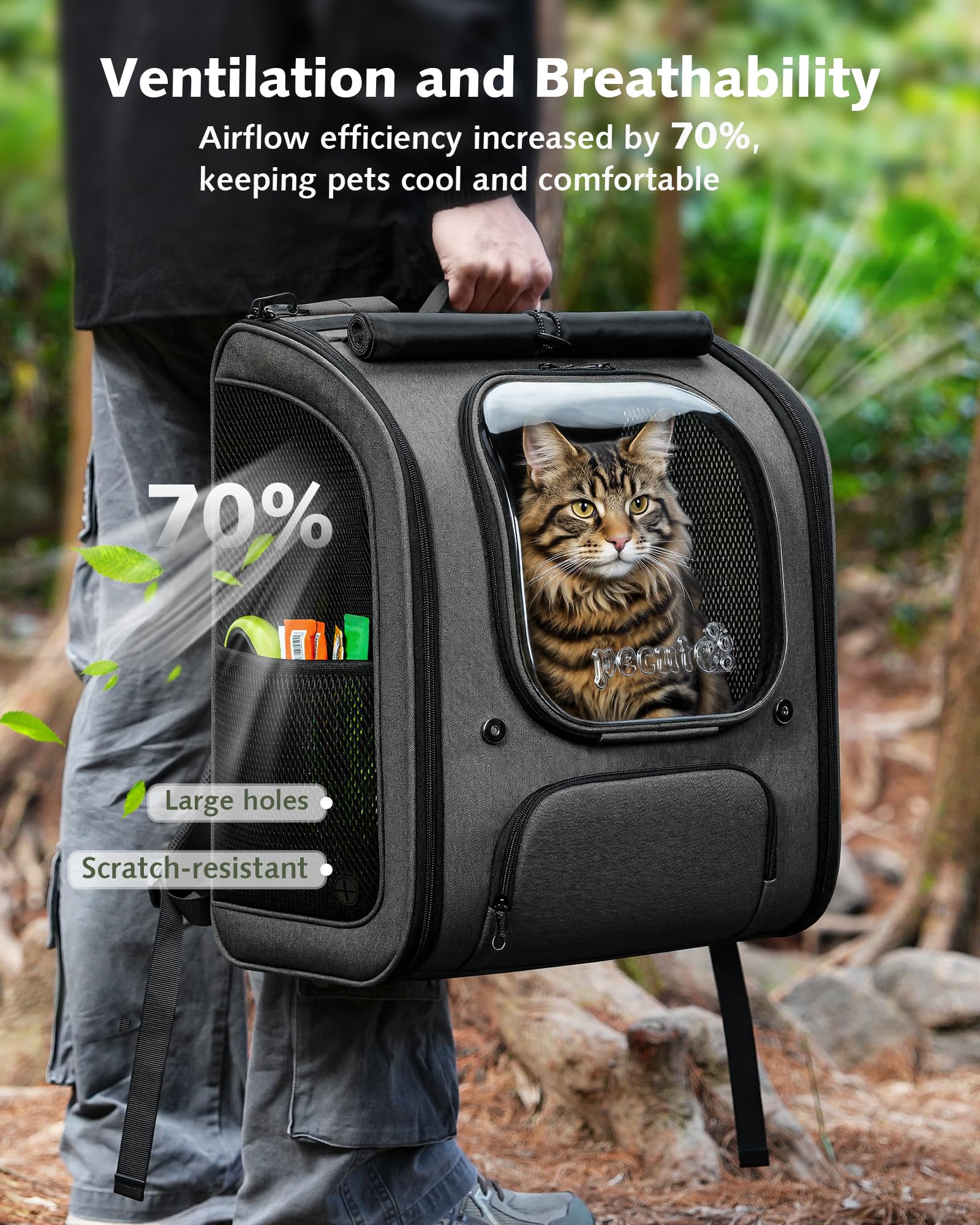https://m.media-amazon.com/images/I/81Yvxzyb1oL.jpg