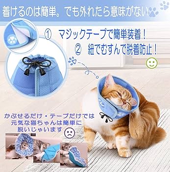 エリザベス様 リクエスト品 41foJrTW1ZL.jpg_BO30,255,255,