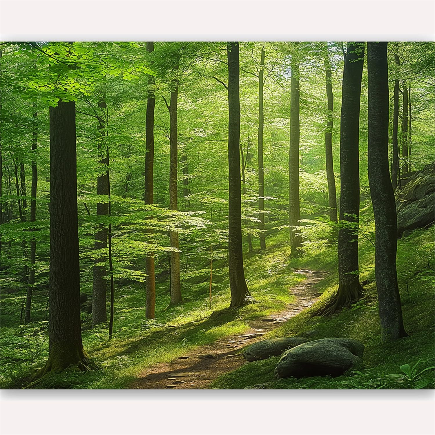 Niestandardowa fotografia krajobrazu, drzewo, słońce, panoramiczny mural, fotografia krajobrazowa, tapeta 250 x 175 cm (szer. x wys.), nowoczesna sztuka ścienna na dużą skalę, mural panoramiczny