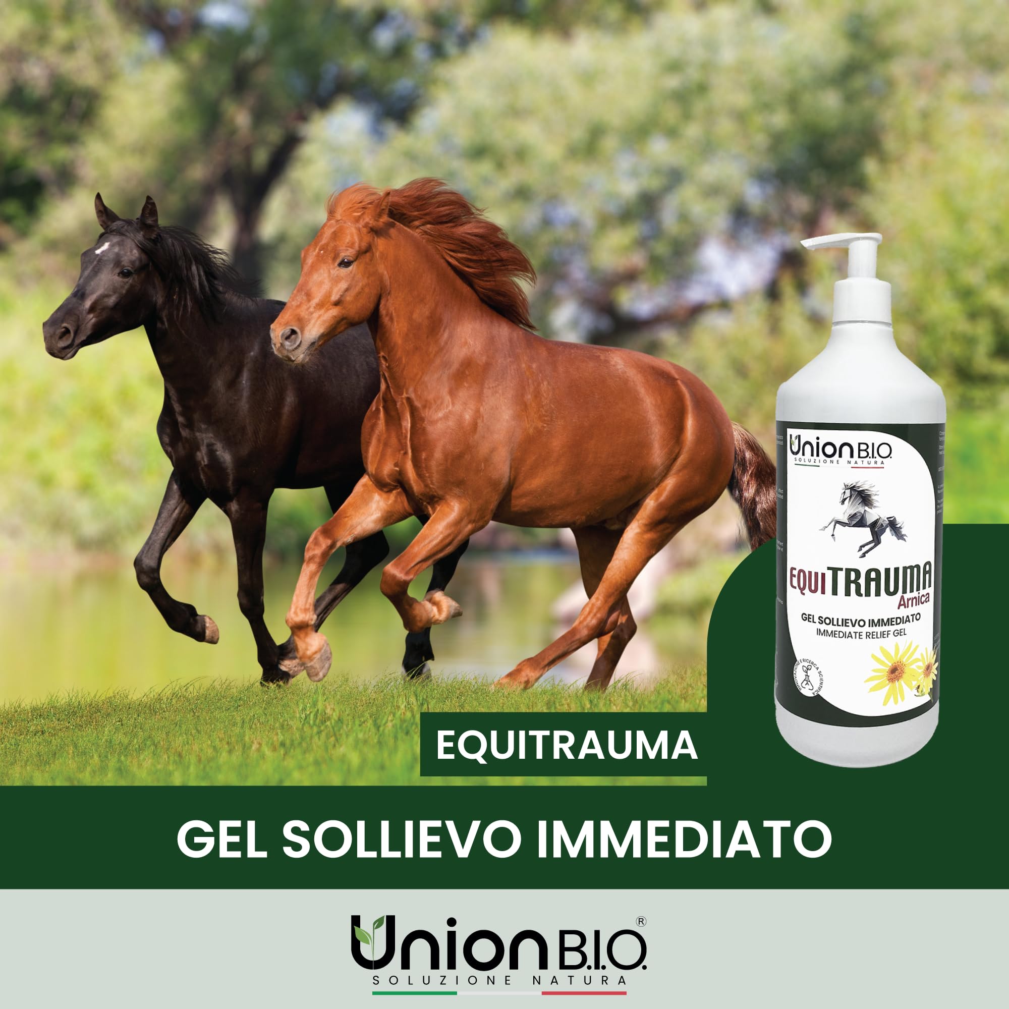 UNION B.I.O. SOLUZIONE NATURA Equitrauma Gel Arnica Montana per Cavalli e Uso Umano 1LT