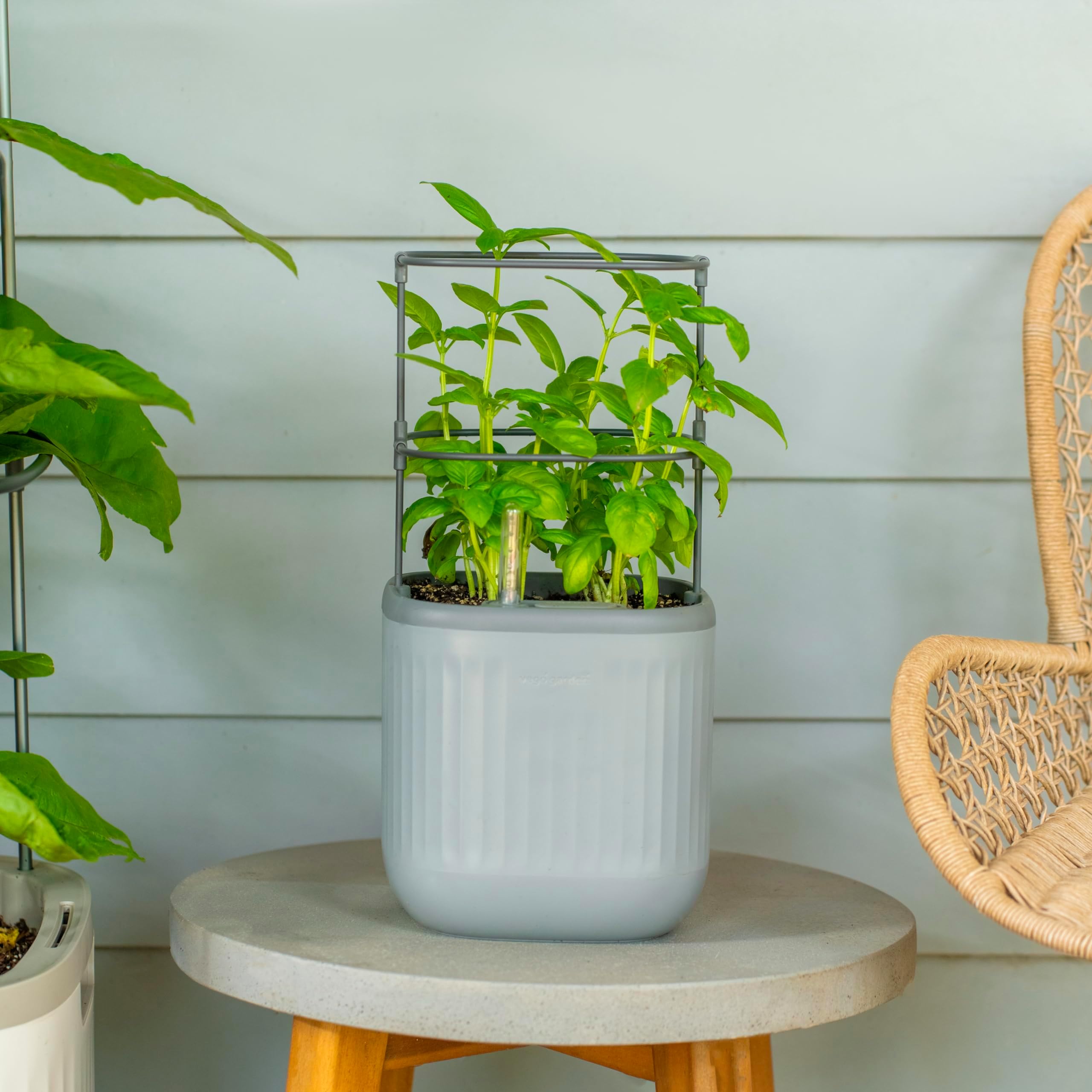 Mini Planter Indoor Pots with Trellis Self-Watering Herb Countertop Planter for Climbing Vegetables Flowers Mint Plants Cage- Fog Gray