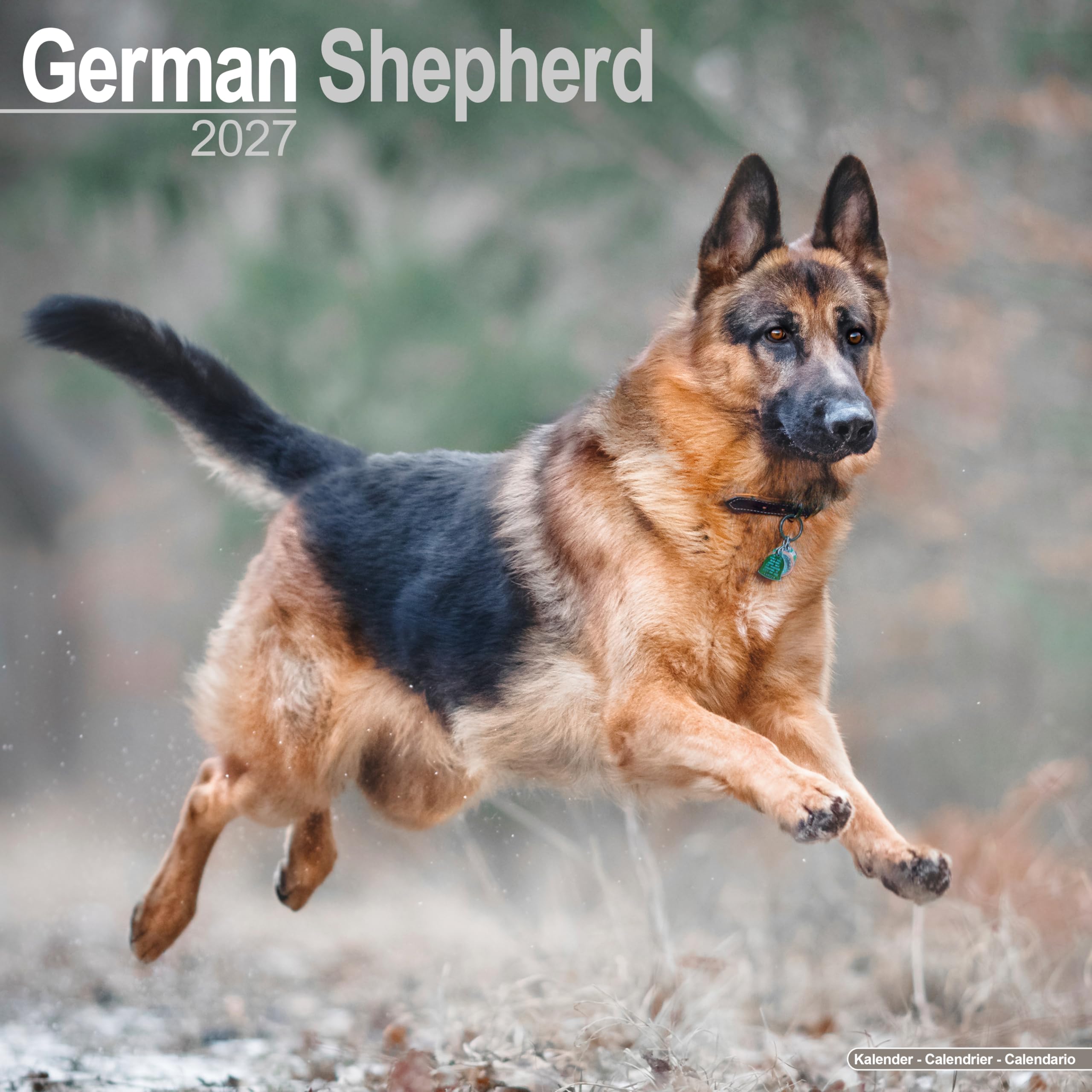 German Shepherd Calendar 2027, Wall Calendars, Month To View, Dogs, Gift