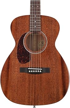 Amazon.co.jp: Guild Guitars M-120L レフティ アコースティックギター