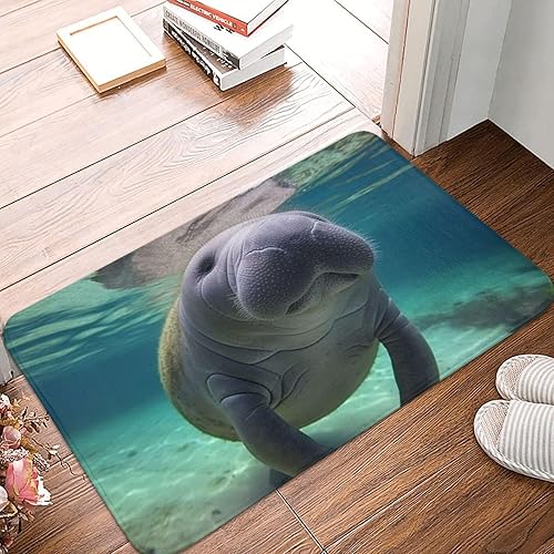 Tapete duradero para puerta delantera, bonito estampado de animales marinos de manatí, tapete de bienvenida absorbente antideslizante, tapete de