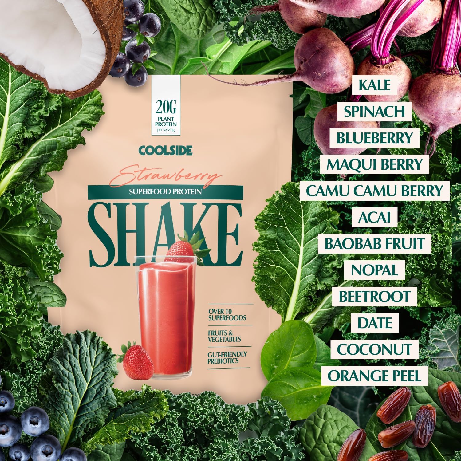 Coolside Vegan Protein Powder, Prebiotic Fiber & Superfoods | Strawberry | 20g Plant Based Protein Powder for Women & Men | Non Whey | Dairy Free | No Artificial Sweeteners | Gluten Free | 15 Serv