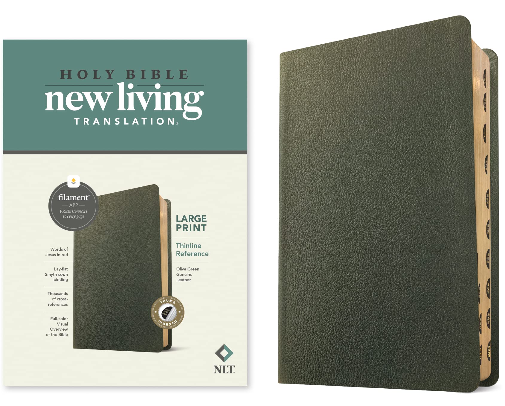 NLT Large Print Thinline Reference Bible, Filament Enabled