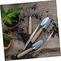 Vista 9 de 4 pinzas de acero inoxidable para jardinería suculenta, puntas curvas y rectas para proyectos de cuidado de plantas de precisión y herramientas