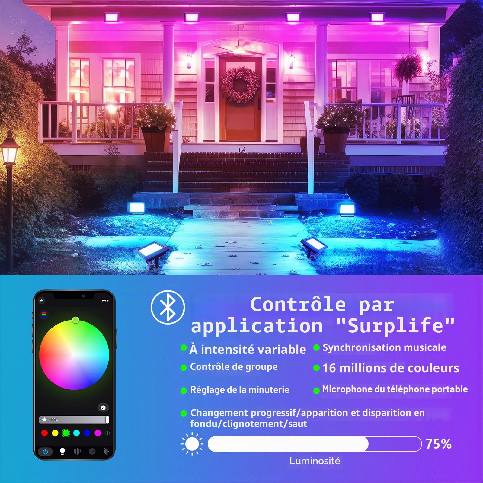 2Pcs 100W Intelligent Projecteur LED RGB extérieur avec prise | 10000LM, réglable, 16 millions de couleurs, application et télécommande, étanchéité IP66, pour jardin, cour, aménagement