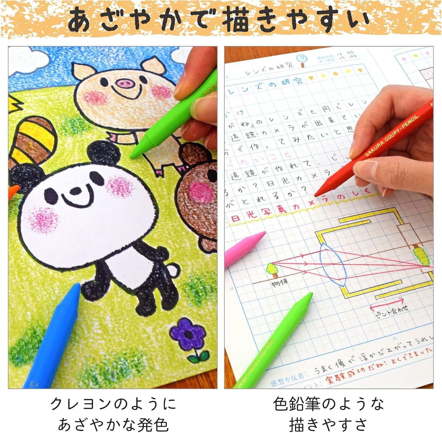 Amazon | サクラ 【クーピー】ペンシル 24色セット ソフトケース