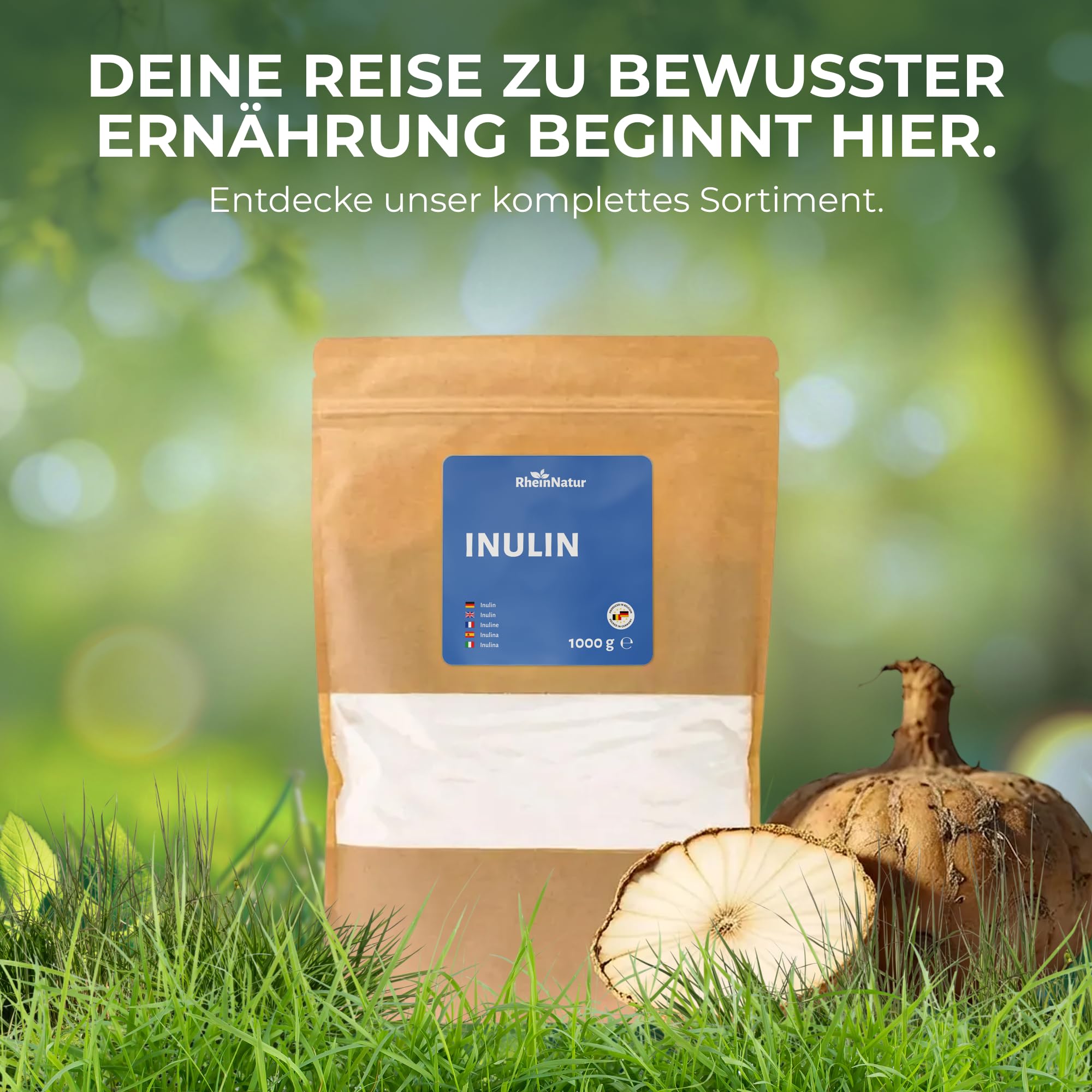 Inulin-Pulver - 100% Inulin aus der Chicorée-Wurzel